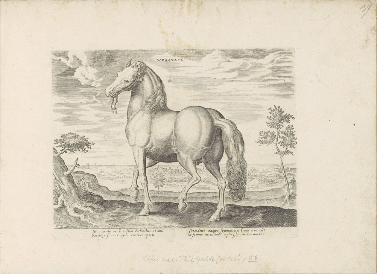 Paard uit Sardinië Sardonicus (tittel på objekt) Paardenrassen uit de Koninklijke stallen van Don Juan van Oostenrijk (serietittel) Hesten, der hver rase er edel: oppførselen til hester valgt fra forskjellige deler av verden (...) ( serietittel på av Anonymous