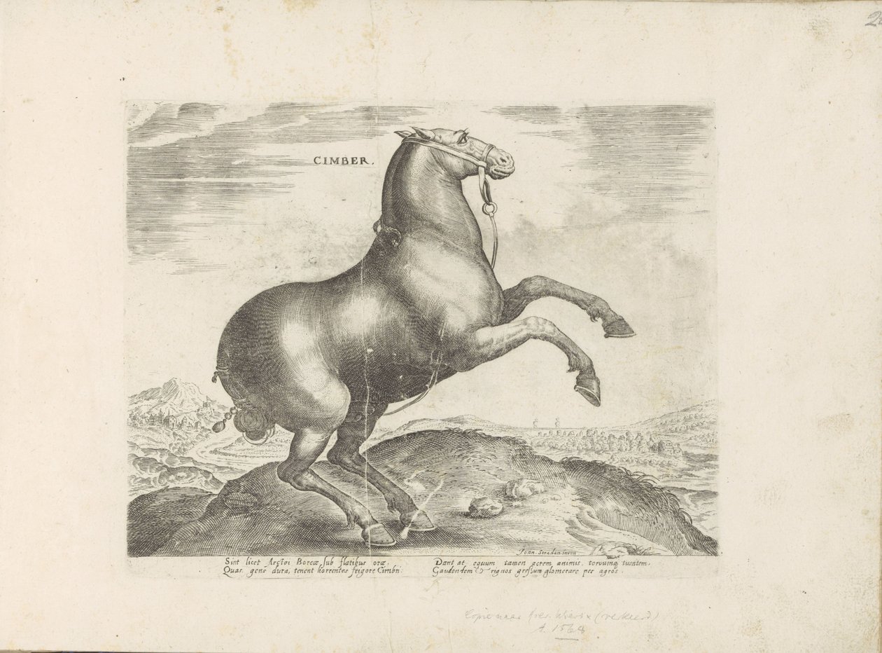 Paard ut Scythia Cimber (tittel på objekt) Paardenrassen uit de Koninklijke stallen van Don Juan van Oostenrijk (serietittel) Hesten, der alle slags adelsmenn: oppførselen til hester skilt fra forskjellige deler av verden valgt (...) (serietittel på obje av Anonymous