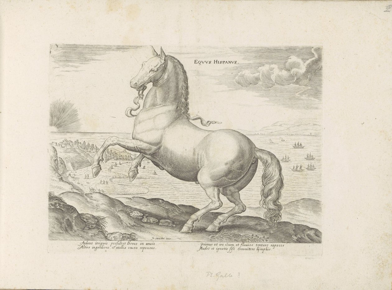 Paard ut Spania Spansk hest (tittel på objekt) Paardenrassen uit de Koninklijke stallen van Don Juan van Oostenrijk (serietittel) Hesten, der alle slags adelsmenn: oppførselen til hester skilt fra forskjellige deler av verden valgt (...) (serietittel av Anonymous