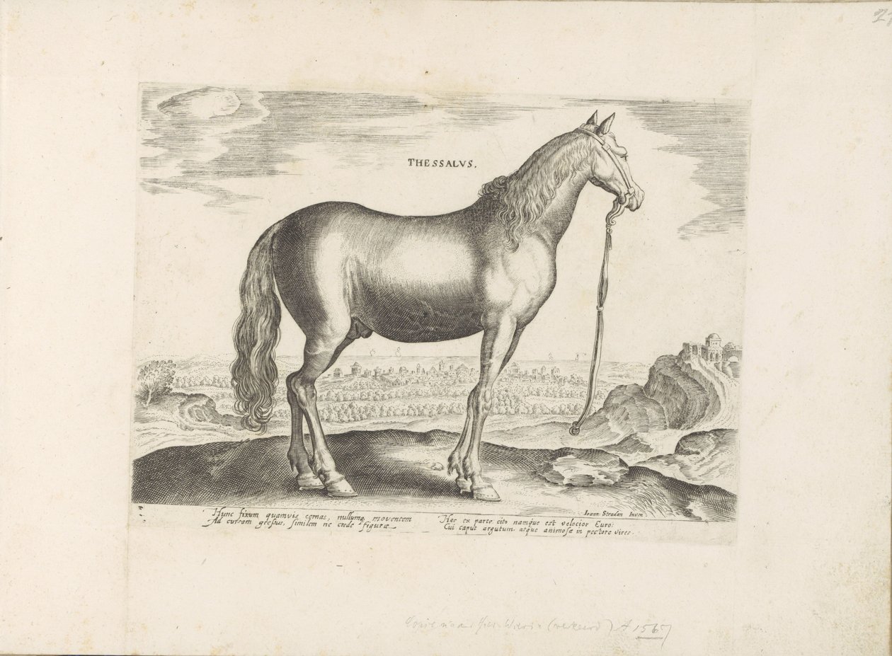 Paard uit Thessalië Thessalien (tittel på objekt) Paardenrassen uit de Koninklijke stallen van Don Juan van Oostenrijk (serietittel) Hesten, der alle slags adelsmenn: oppførselen til hester skilt fra ulike deler av verden valgt (...) (serietittel på av Anonymous