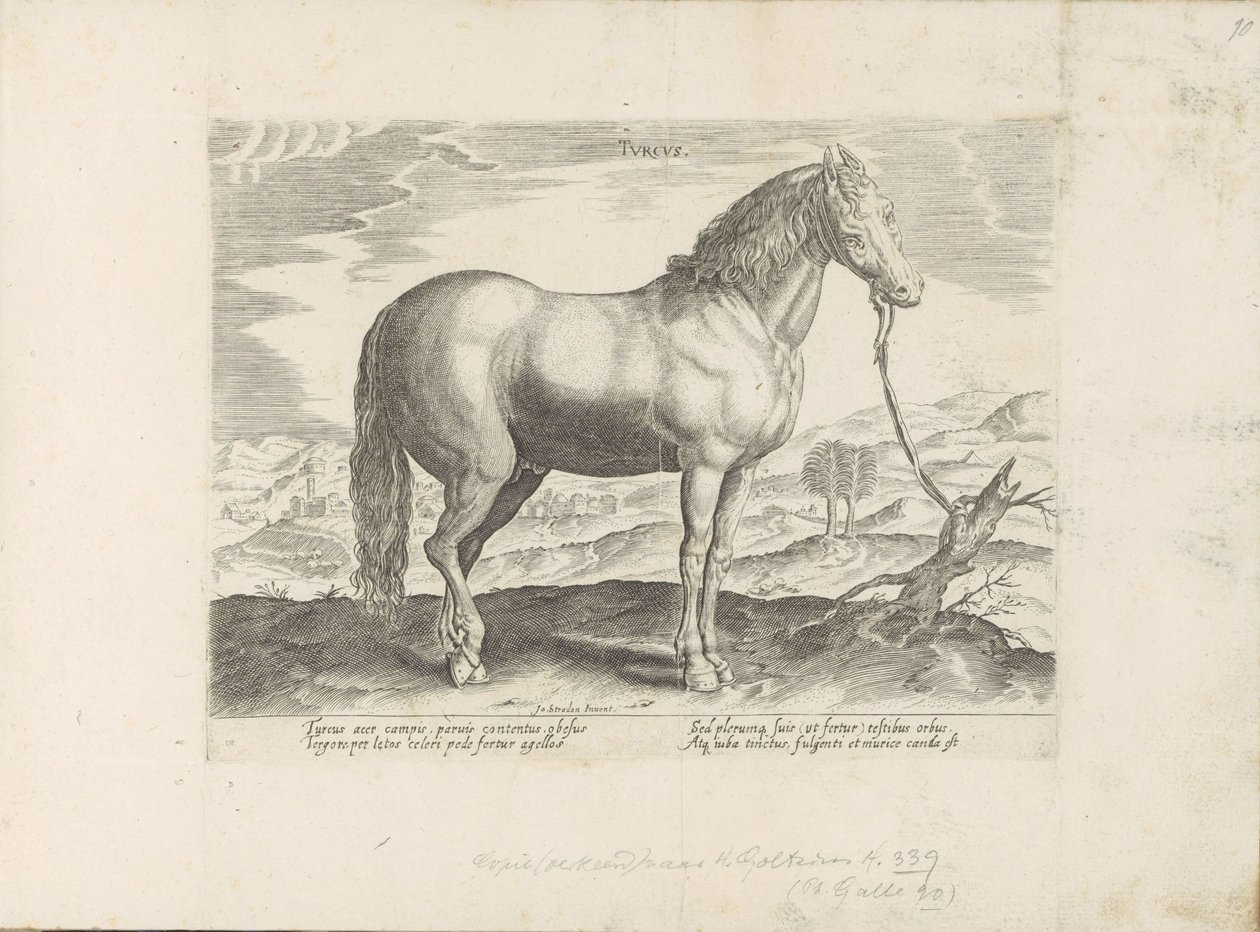 Paard ut Tyrkia Tyrkisk (tittel på objekt) Paardenrassen uit de Koninklijke stallen van Don Juan van Oostenrijk (serietittel) Hesten, der alle slags adelsmenn: oppførselen til hester skilt fra forskjellige deler av verden valgt (...) (serietittel på obje av Anonymous