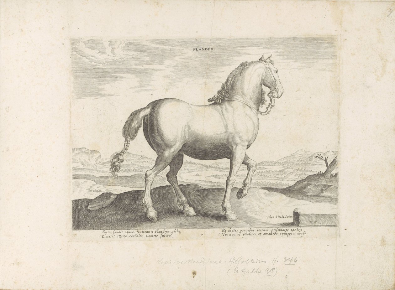 Paard uit Vlaanderen Flandern (tittel på objekt) Paardenrassen uit de Koninklijke stallen van Don Juan van Oostenrijk (serietittel) Hesten, der alle slags adelsmenn: oppførselen til hester skilt fra ulike deler av verden valgt (...) (serietittel på av Anonymous