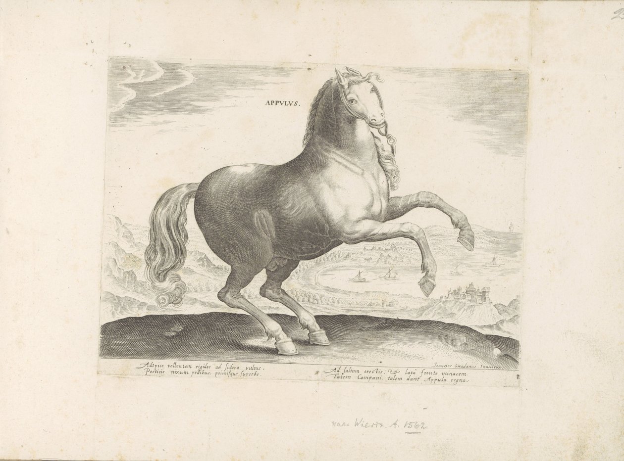 Paard ut Zuid-Italia Appulus (tittel på objekt) Paardenrassen uit de Koninklijke stallen van Don Juan van Oostenrijk (serietittel) Hesten, der alle slags adelsmenn: oppførselen til hester skilt fra ulike deler av verden valgt (...) (serietittel på av Anonymous
