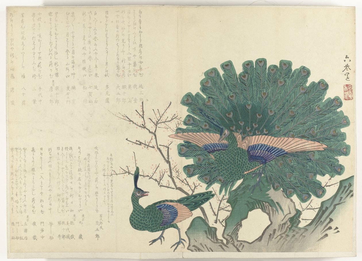 Peacock Album Shijo-surimono fra perioden 1840-1900 (serietittel) av Anonymous