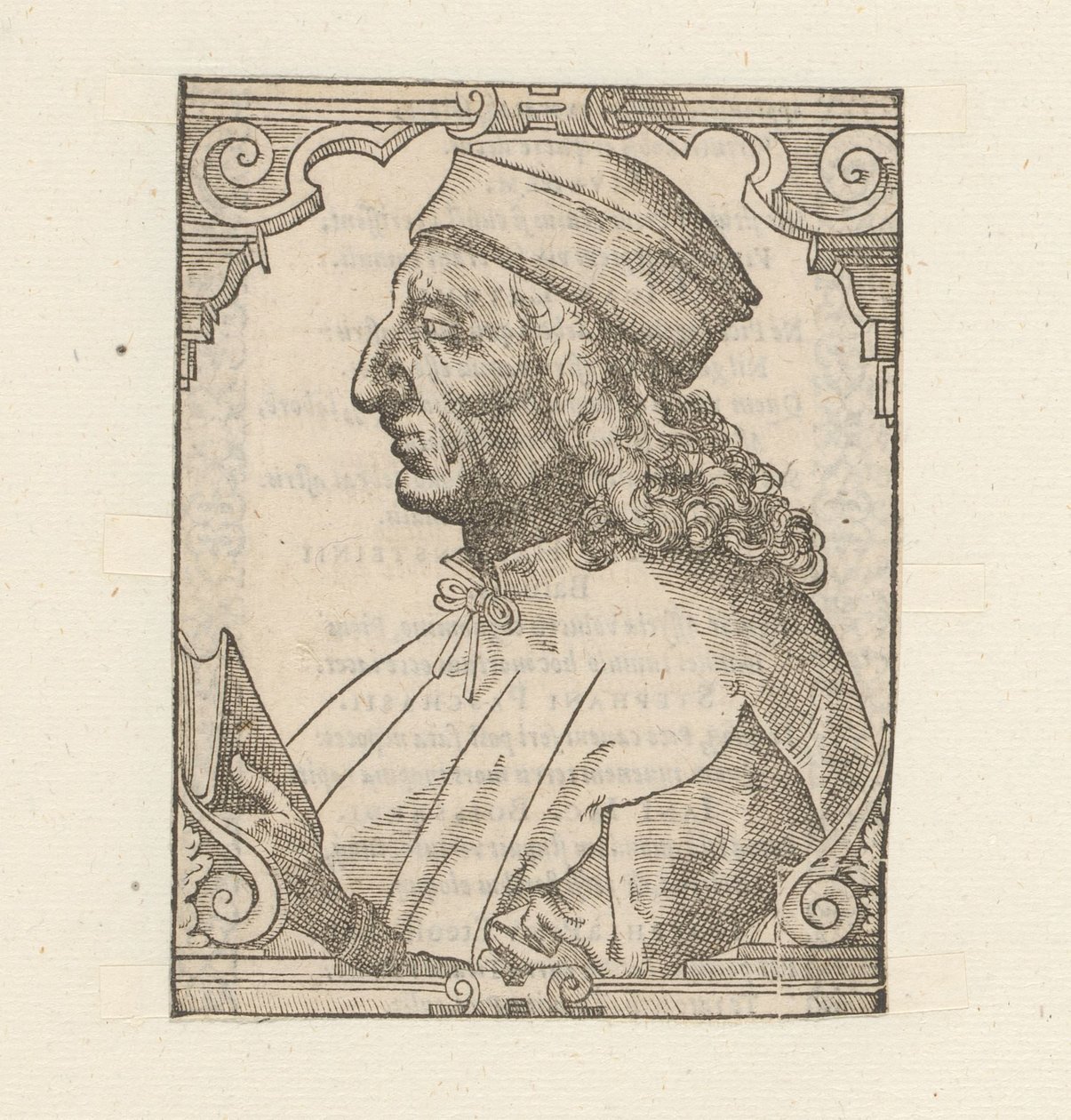 Portrett av Julius Pomponius Laetus av Anonymous