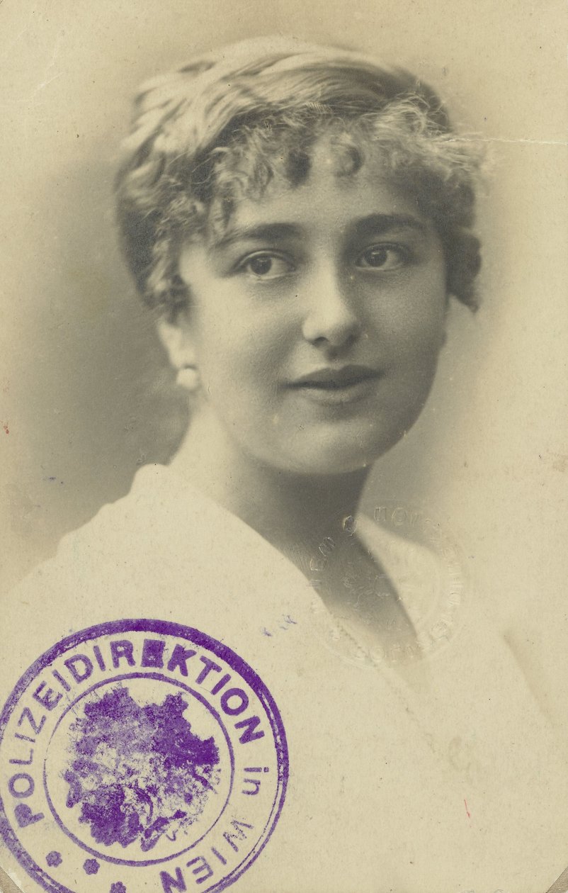 Førerkort av Elsa Silberstein av Anonymous