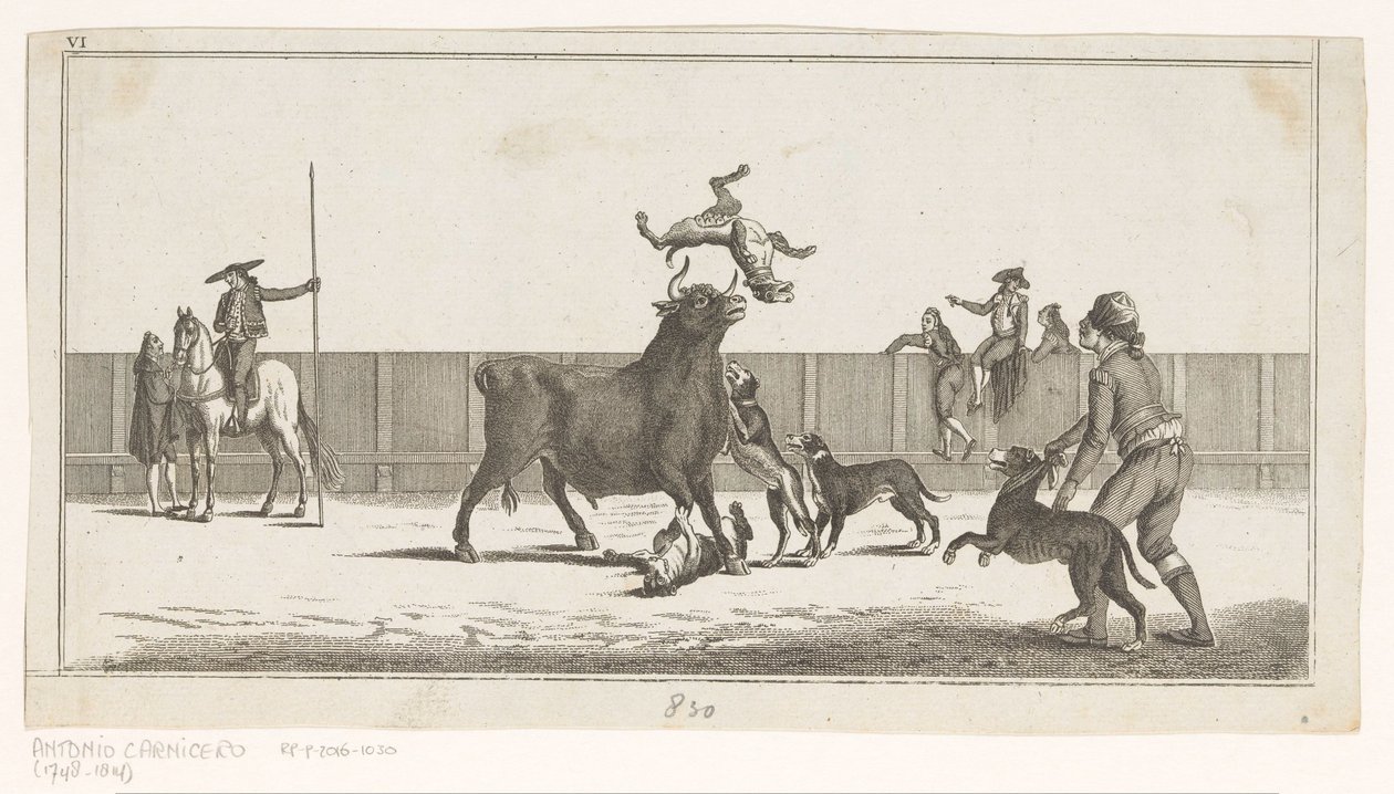 Okse angrepet av hunder Coleccion de las principales suertes de una corrida de toros (serietittel på objekt) Samling av de viktigste manøvrene i tyrefekting (serietittel) av Anonymous