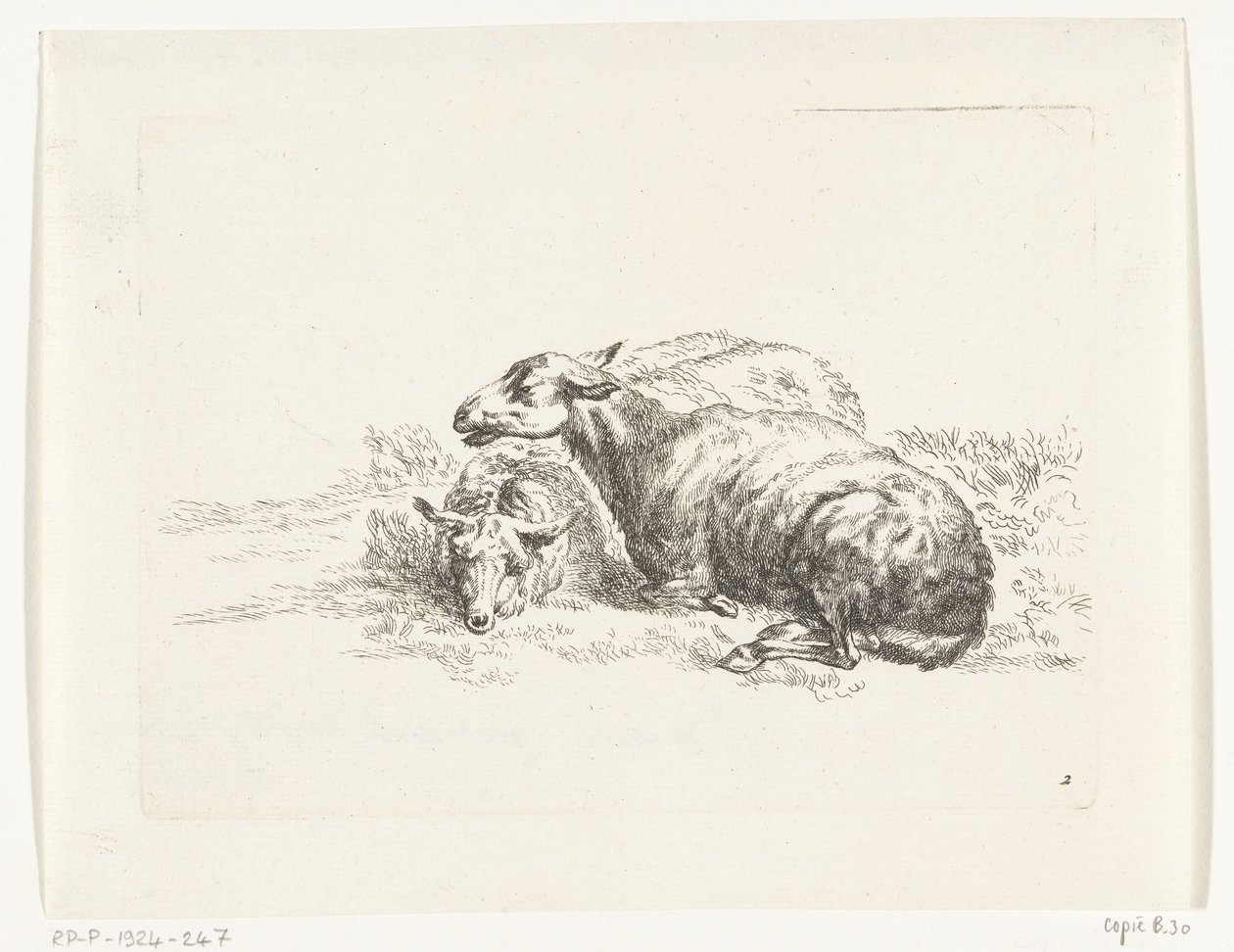 Twee liggende schapen Geiten en schapen naar N.P. Berchem (series title)   1369260   no       norwegian Successfully Translated  Original: Men who served for the British during the East Africa Campaign Translat: Men who served for the British during the Ea av Anonymous