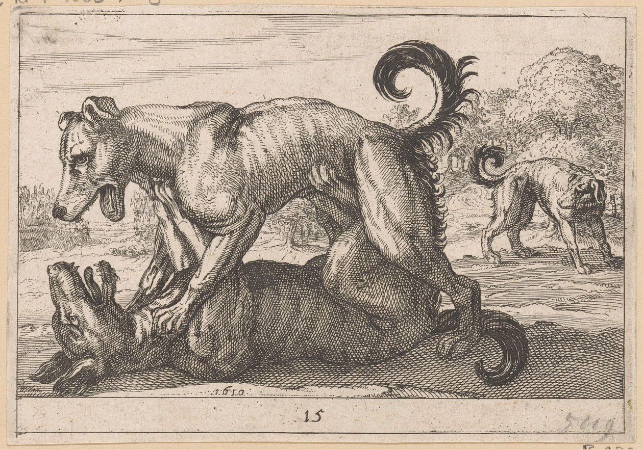 To parrings- og to kamphunder Fighting Animals (kopier) (serietittel) av Anonymous