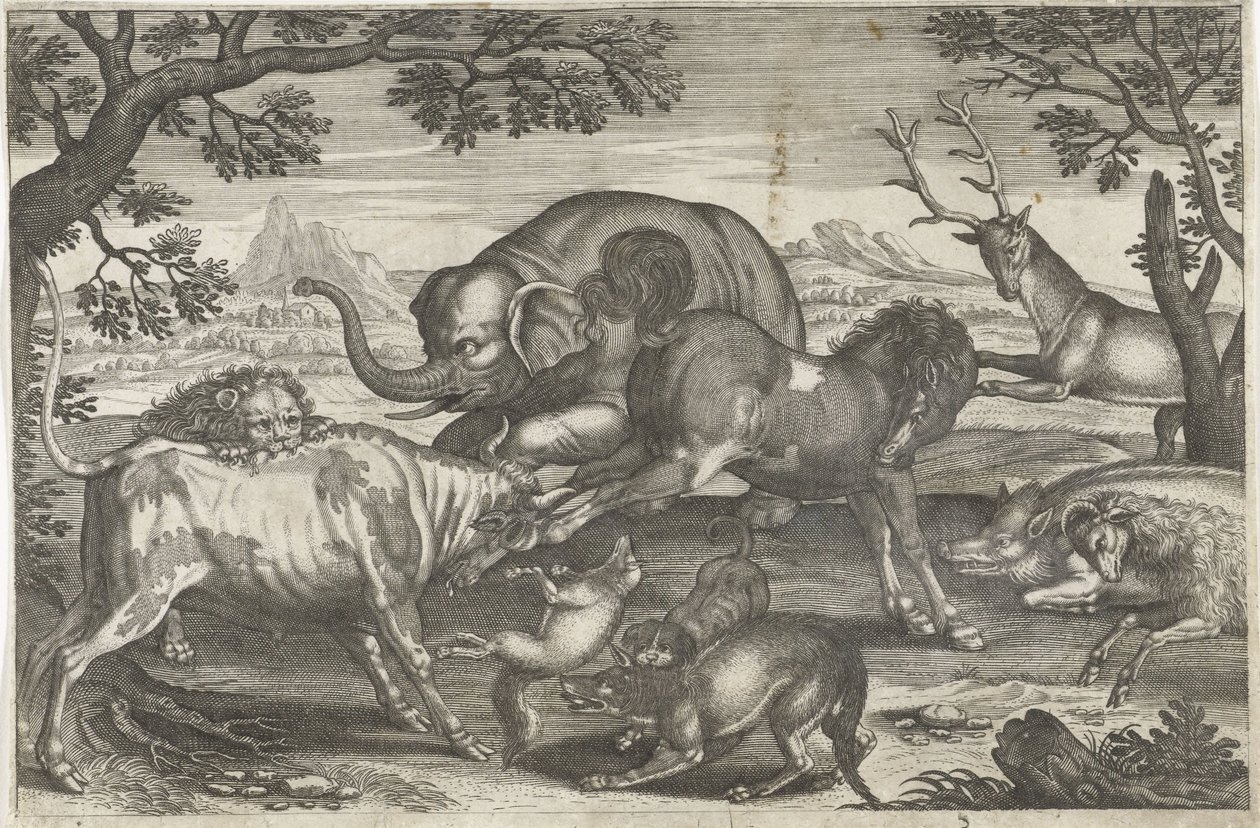 kampdyr Firebeinte dyr (serietittel) Animalivm Qvaddrvpedvm (serietittel) av Anonymous