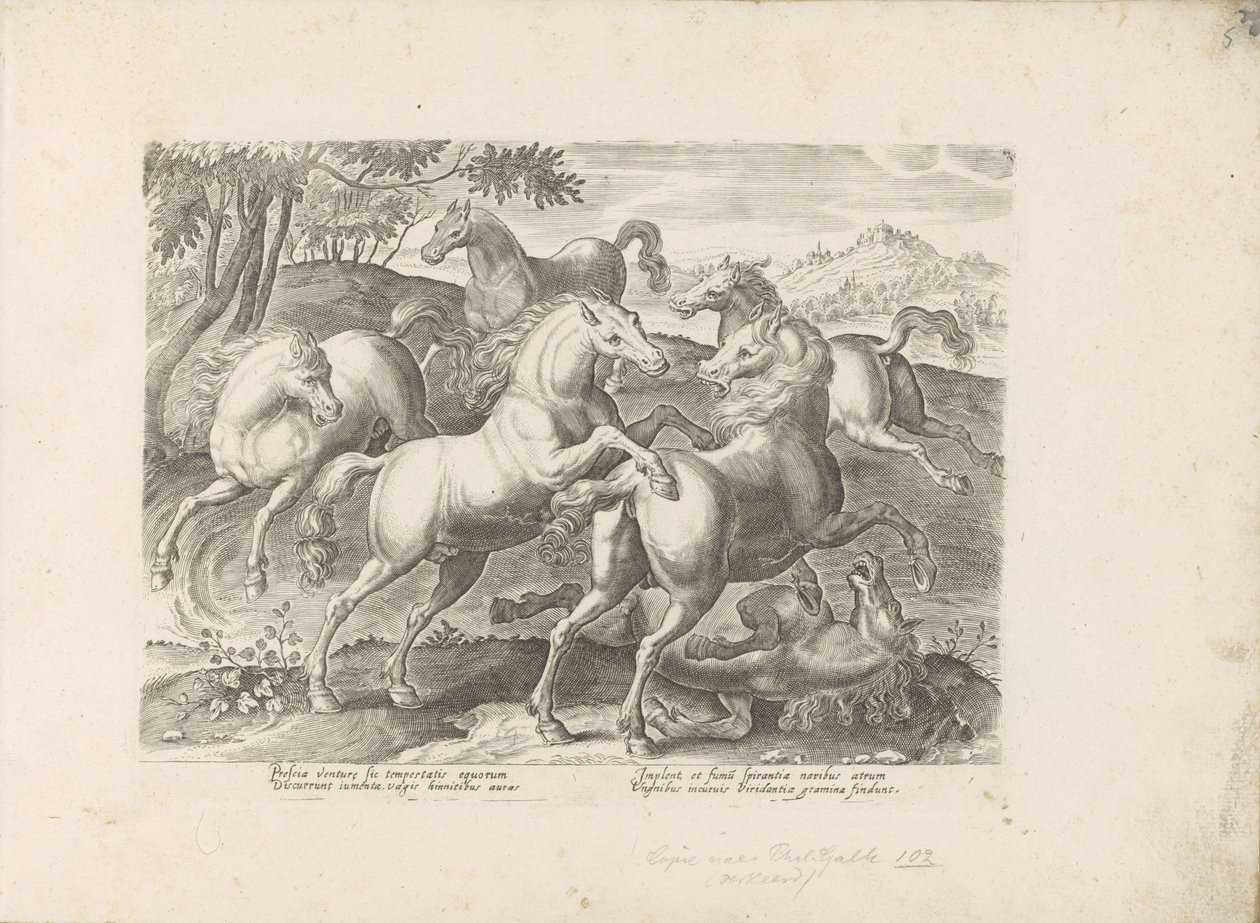 Vechtende paarden met een onder de fot gelopen paard Hesten, der alle slags adelsmenn: oppførselen til hester skilt fra forskjellige deler av verden valgt (...) (serietittel på objekt) av Anonymous