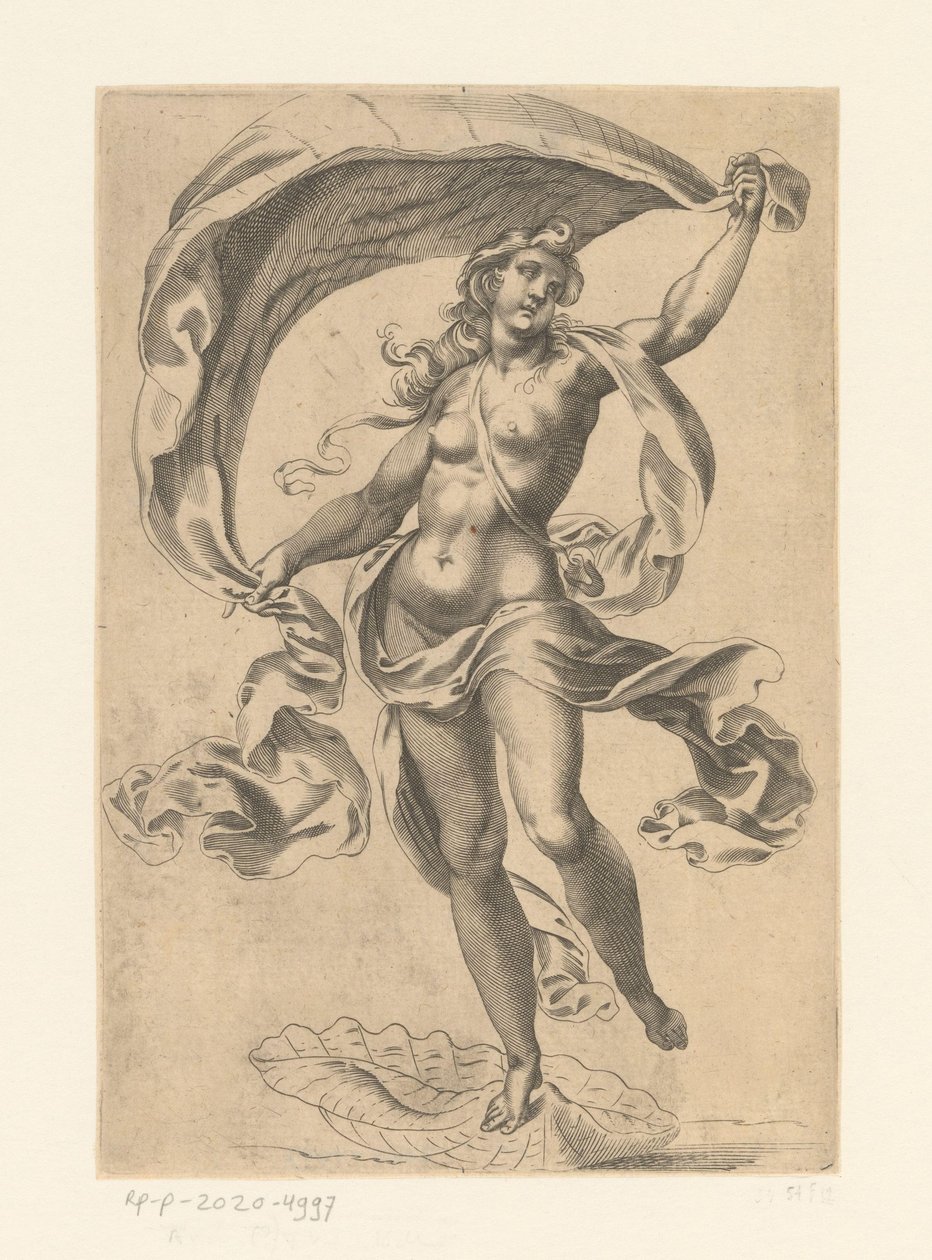 marine venus av Anonymous