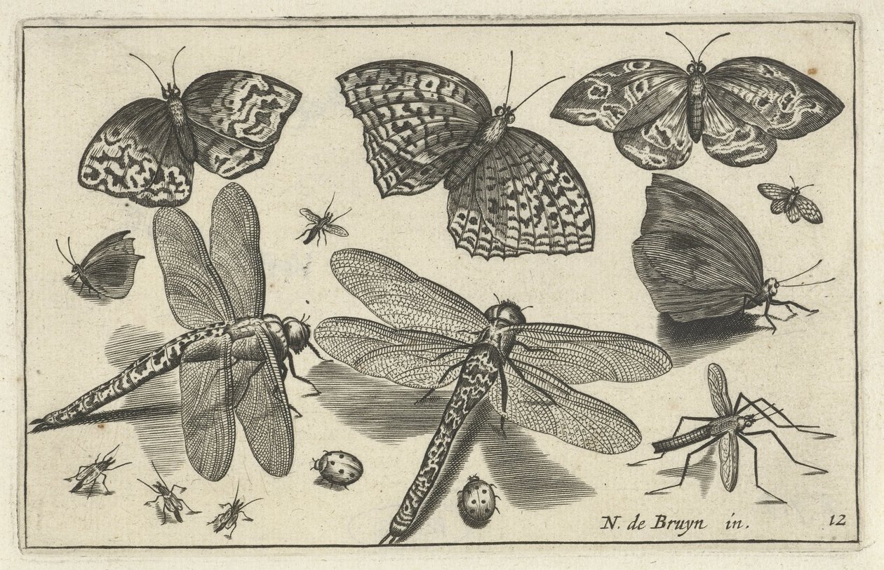 Sommerfugler og øyenstikkere Fugler og insekter (serietittel) av Anonymous