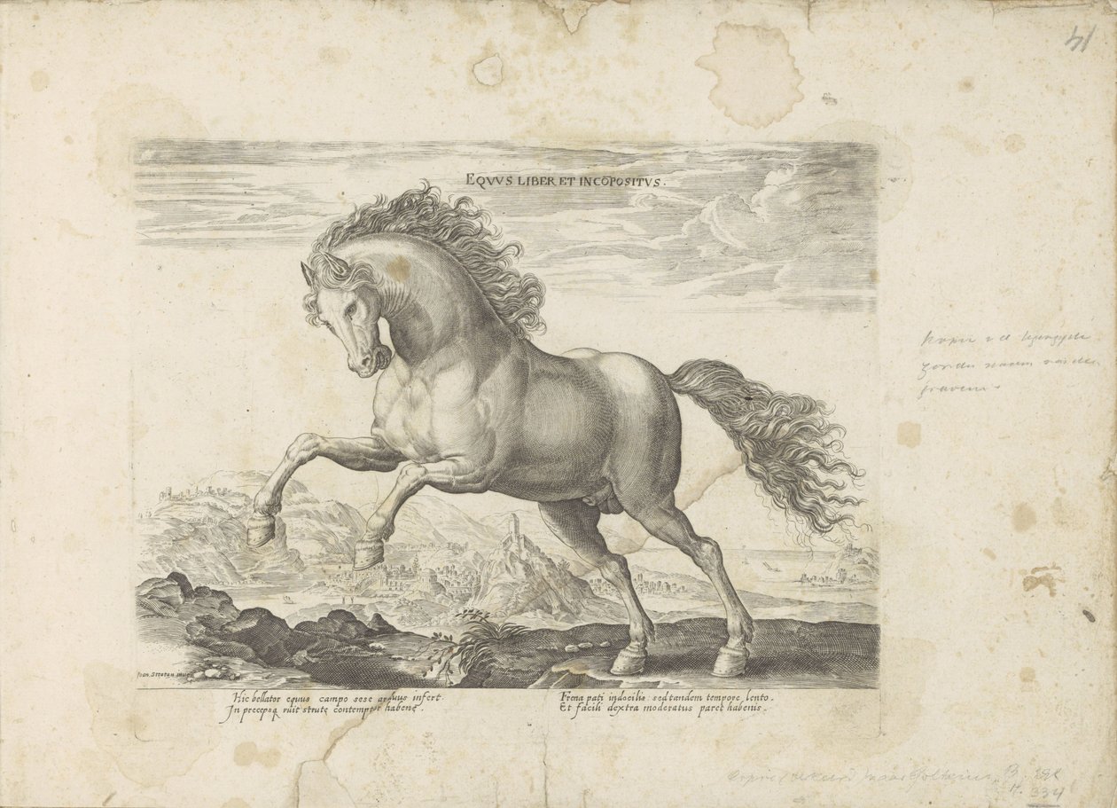Wild paard Equus Liber et Incopositus (title on object) Equile, in quo omnis generis generosissi: morum equorum ex varijs orbis partibus insignis delectus (...) (series title on object)   1326900   no       norwegian Successfully Translated  Original: Nobl av Anonymous