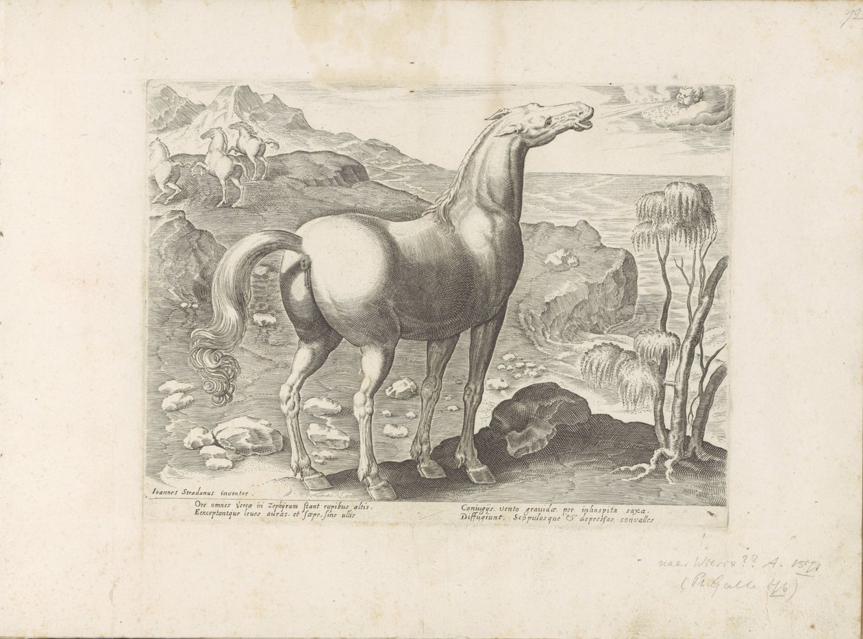 Zephyrus befrukter en glede Paardenrassen uit de Koninklijke stallen van Don Juan van Oostenrijk (serietittel) Hesten, der alle slags adelsmenn: oppførselen til hester skilt fra forskjellige deler av verden valgt (...) (serietittel på objekt) av Anonymous