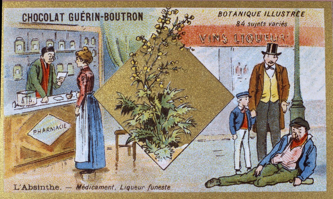 Absint: medisin og dødelig likør. Gravering (kromo). Reklamekromolitografi for Guerin-Boutron-sjokolade, sent på 1800-tallet. Illustree Botanical Series. av Anonymous Anonymous