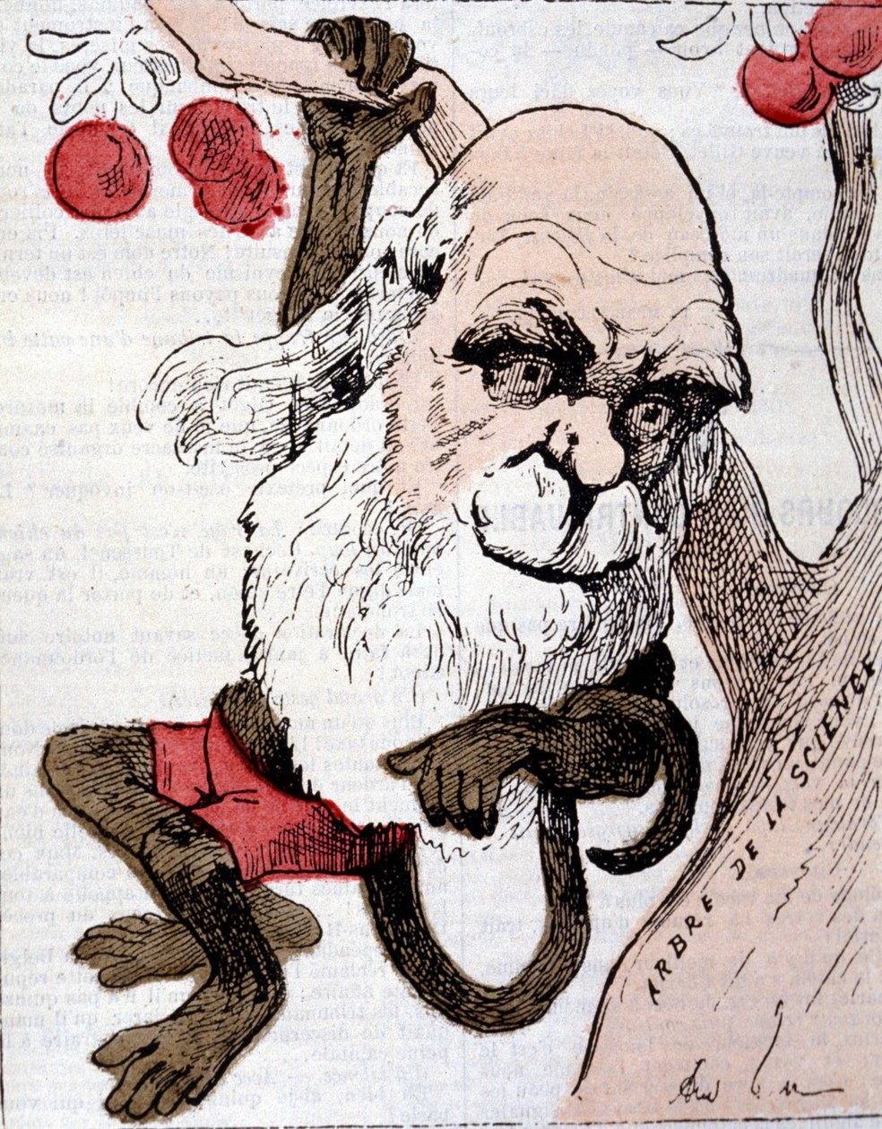 Karikatur av Charles Robert Darwin (1809 - 1882) i ""La Lune"" av Anonymous Anonymous