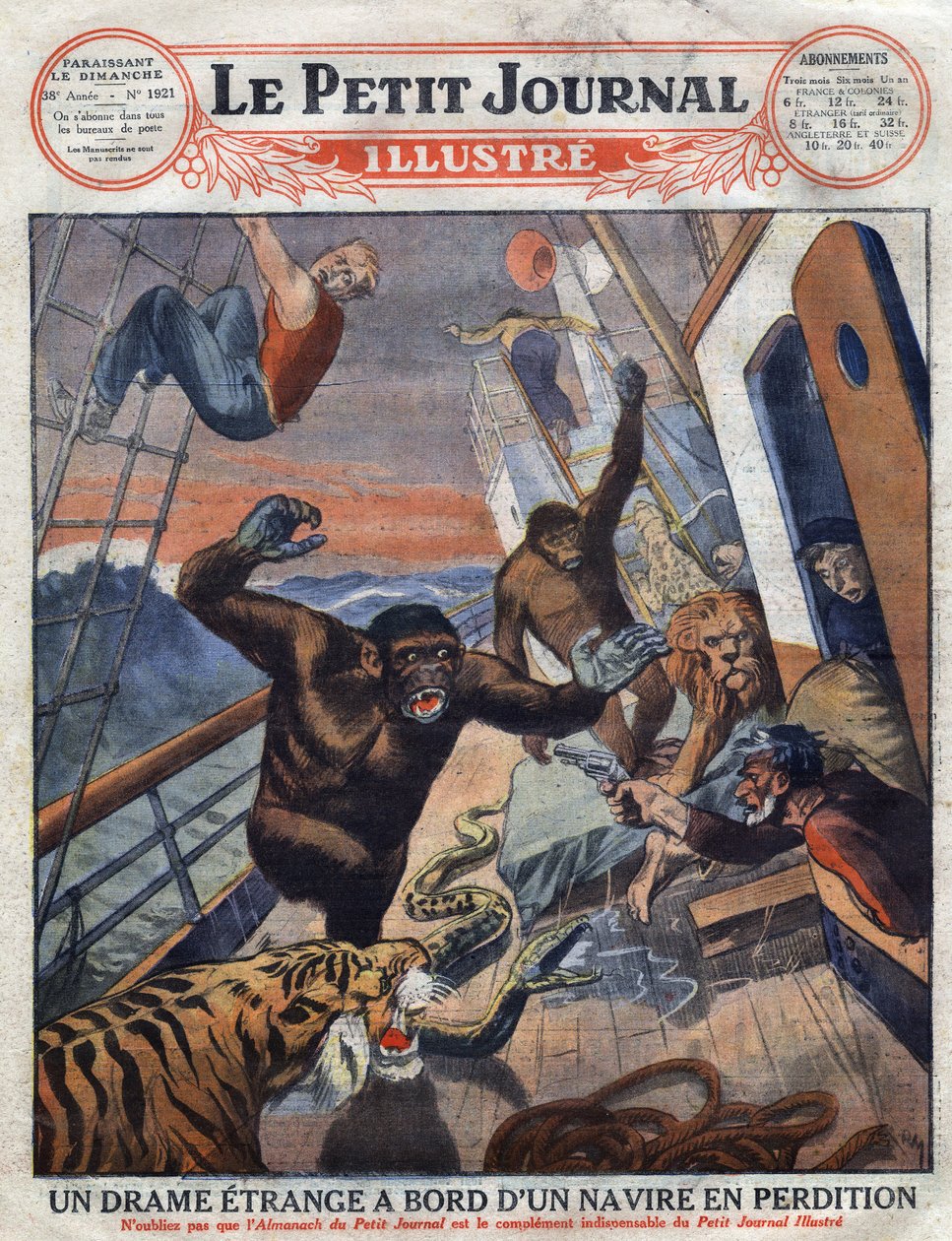 Drama om den franske rutebåten "" Saint Etienne"": gorillaer, tiger, løve og slange bestemt til engelske zoologiske hager rømte fra buret deres og angrep mannskapets medlemmer. "" Gravering. En av "The Little Journal Illustrates" av Anonymous Anonymous