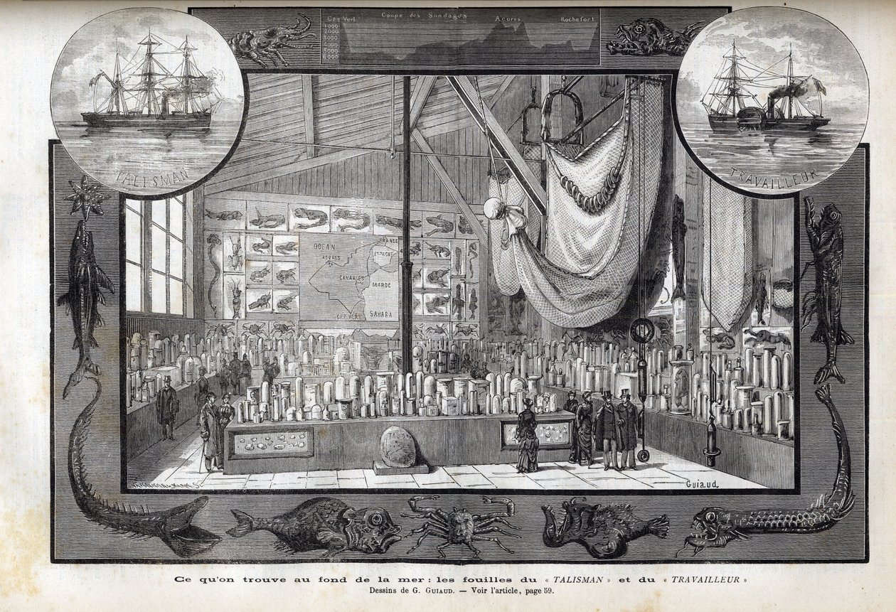 Exhibition at the Museum of Natural History of Paris of the collections formed during the cruises - Scientific expeditions of the Worker and the Talisman during the years 1880 av Anonymous Anonymous
