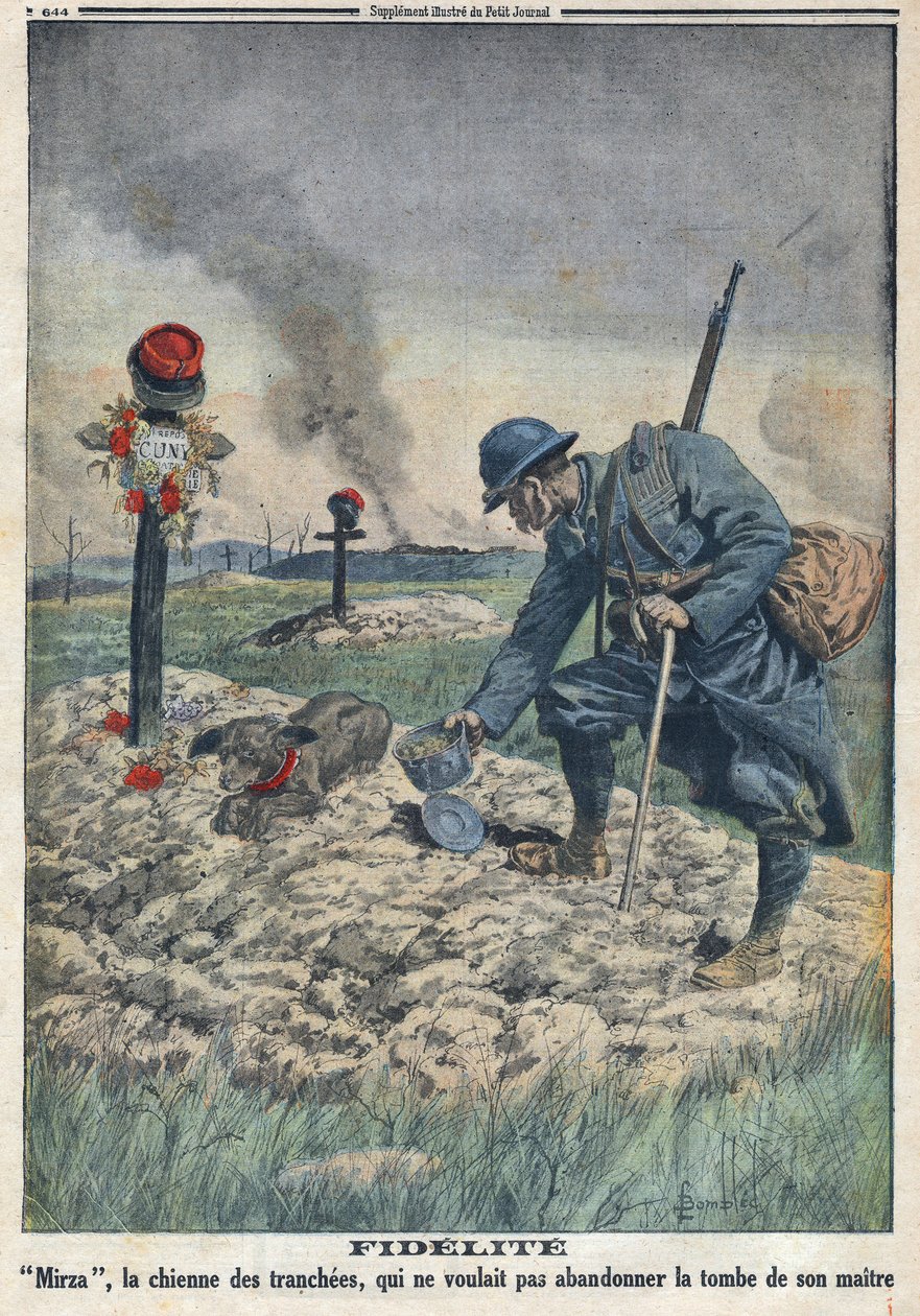 First World War 1914-1918 (War 14-18). A dog refusing to abandon the grave of her dead master in the trench. In “” Le Petite Journal””, on 10/09/1916. Private Collection av Anonymous Anonymous