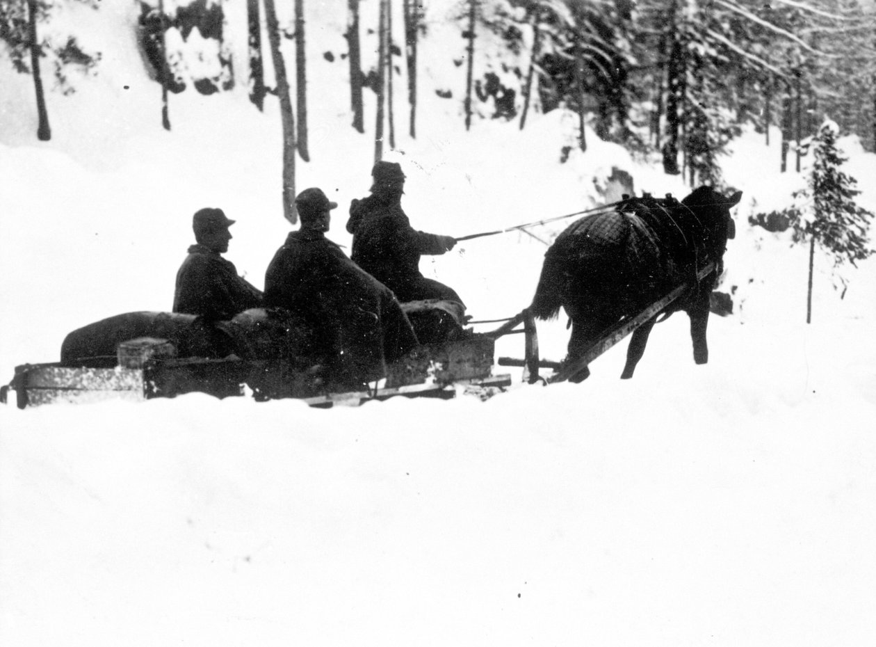 Første verdenskrig, Carso Front: Italienske alpejegere (alpino eller alpini) som bærer mat på sleder av Anonymous Anonymous