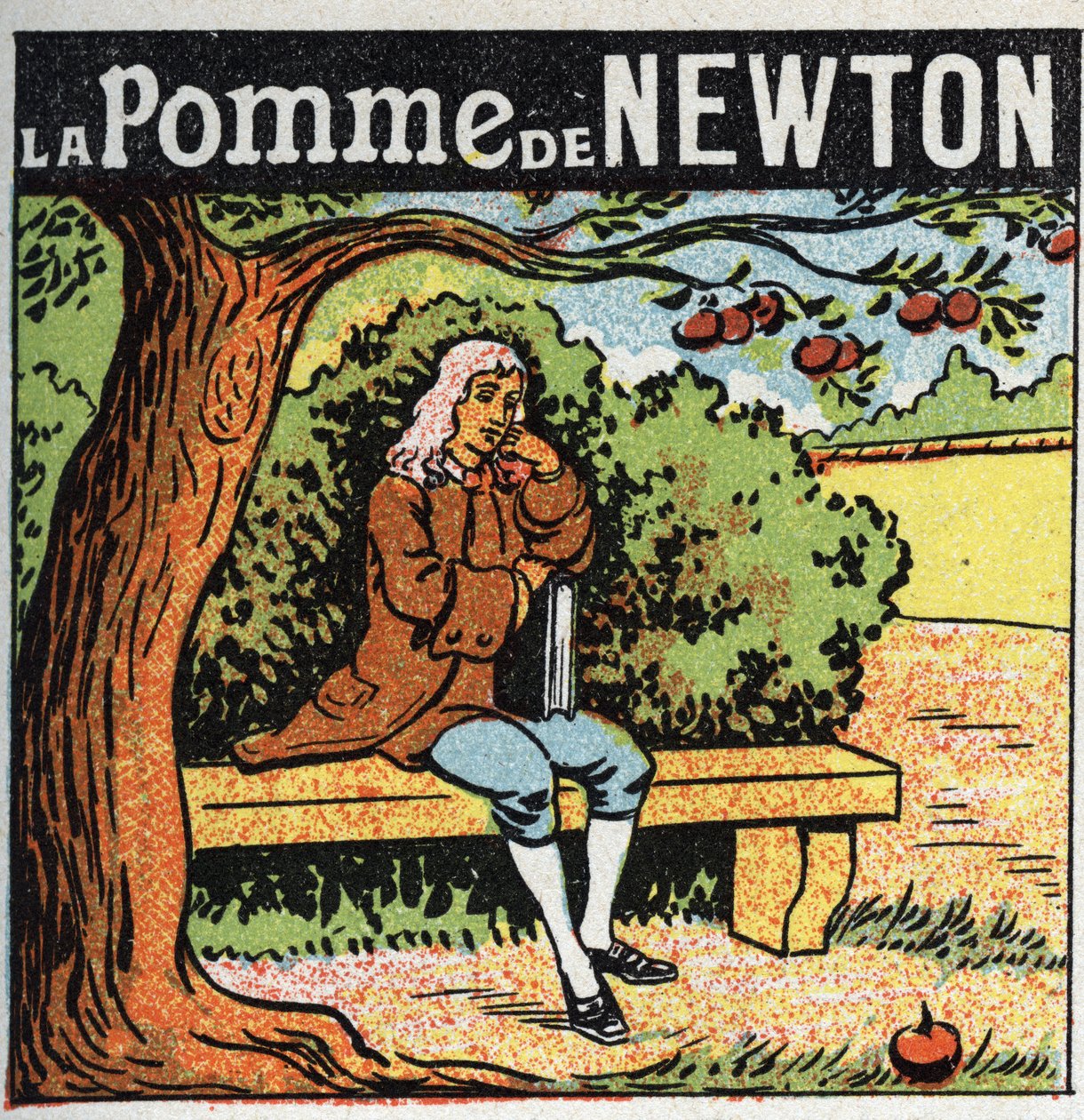 Gravitasjon: Newtons eple. Isaac Newton (1642-1727) observerer et eple som faller fra et epletre og oppdager lovene for jordens tyngdekraft (gravitt). Anonym illustrasjon fra 1925. Privat samling. av Anonymous Anonymous