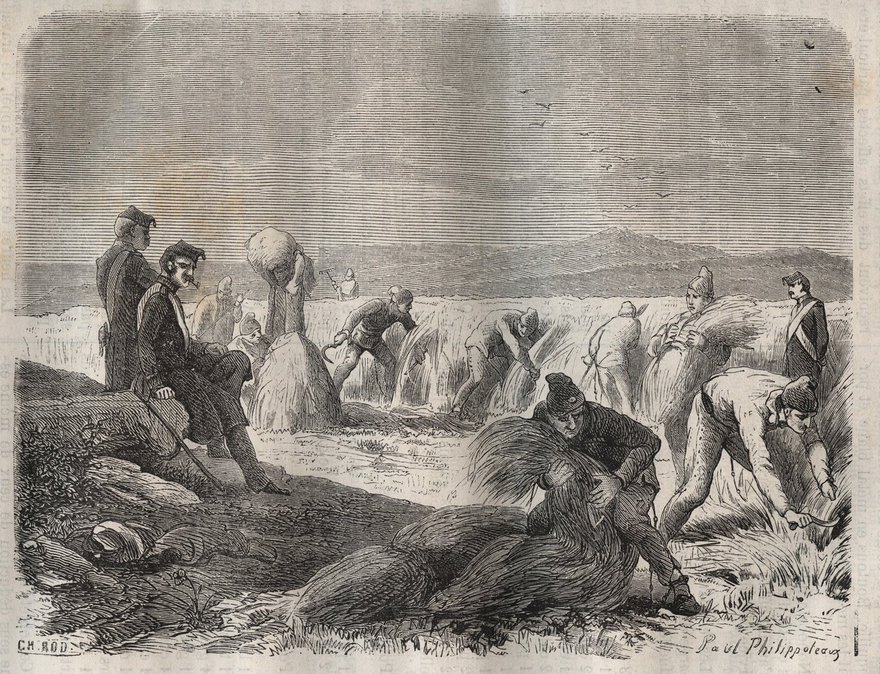 Høste styrker ved fengselet til Belle-Ile-en-Mer (vakker øy til sjøs) på 1800-tallet. Gravering i «Fangernes historie fra deres skapelse til i dag» (1877) av Pierre Zaccone (1817-1895) (Colonia Penale - Straffekoloni). Privat samling. av Anonymous Anonymous