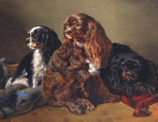 King Charles Spaniels av Anonymous Anonymous