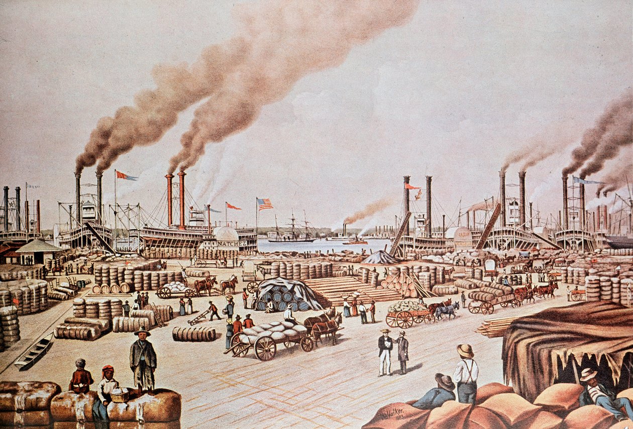 New Orleans Harbor Wharf (USA): Bomull laster. 1876. Privat samling. av Anonymous Anonymous
