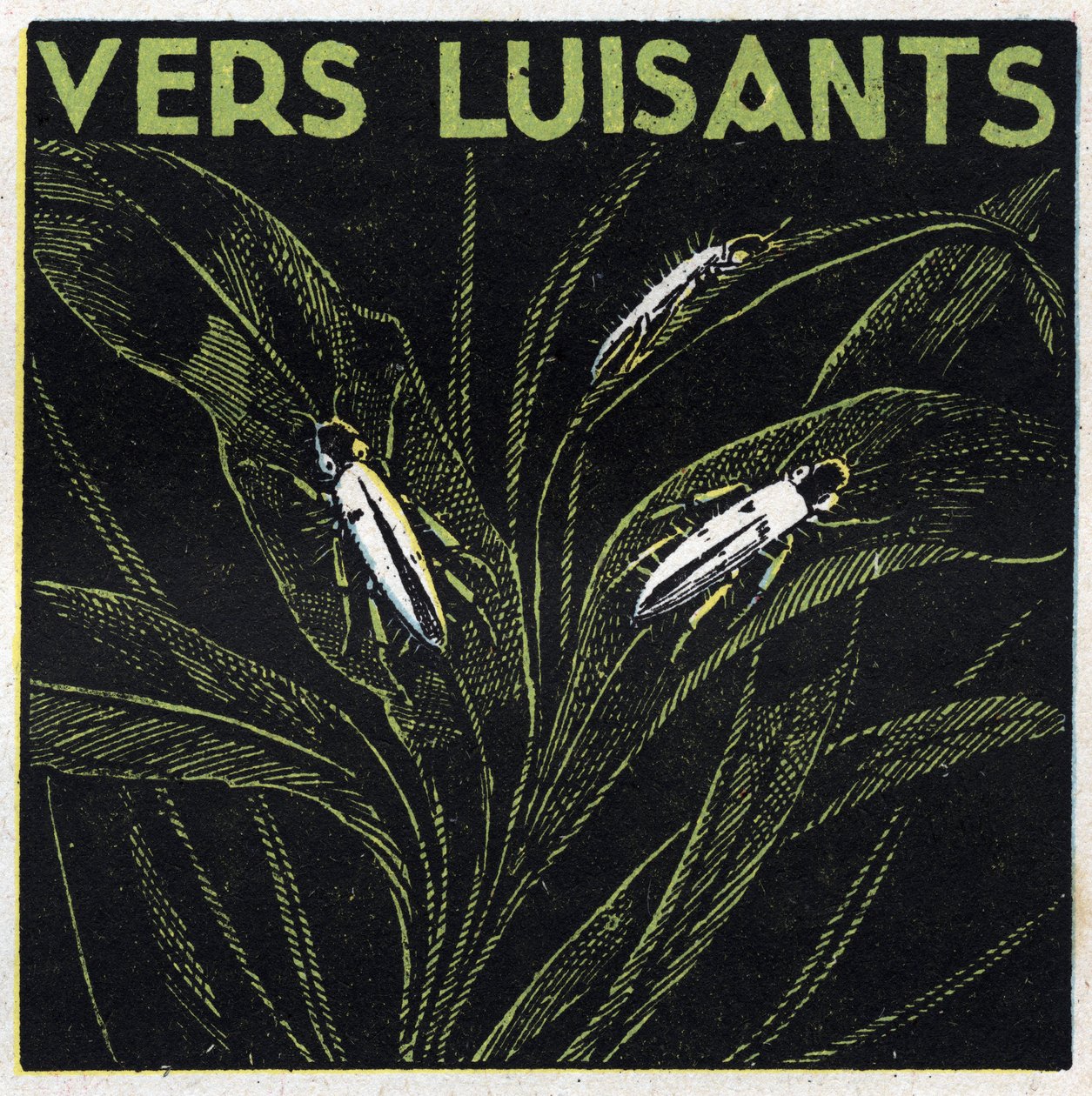 Phosphorescence: glowing greens. Anonymous illustration from 1925. Private collection. av Anonymous Anonymous