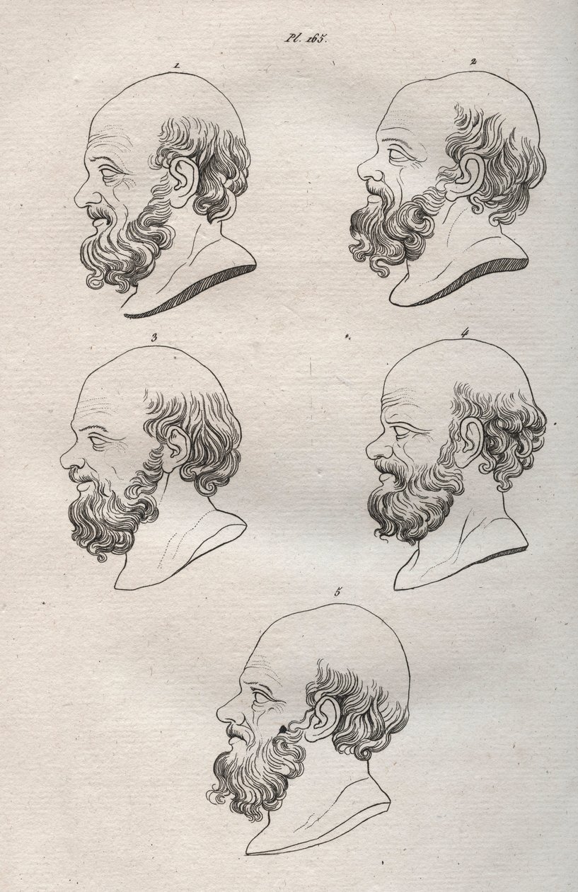 Physiognomy - Physiognomony - Several heads of the Greek philosopher Socrates (ca. 469 BC-399 BC) (Bust of Socrates (ca 469 BC-399 BC), Athenian philosopher) engraving of 1808 in “The art of knowing men through physiognomy” by Johann Gaspar (Gaspard) Lavat av Anonymous Anonymous