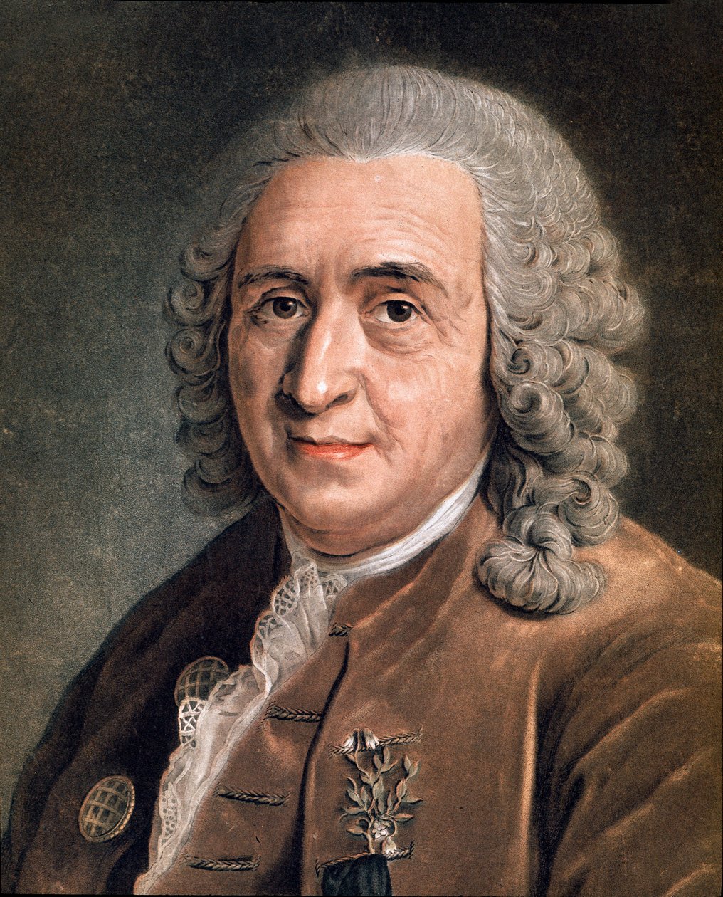 Portrett av Charles Linne (Carl von Linne, Linneus 1707 - 1778), svensk naturforsker Anonym maleri. 18. århundre. Milano, privat samling av Anonymous Anonymous