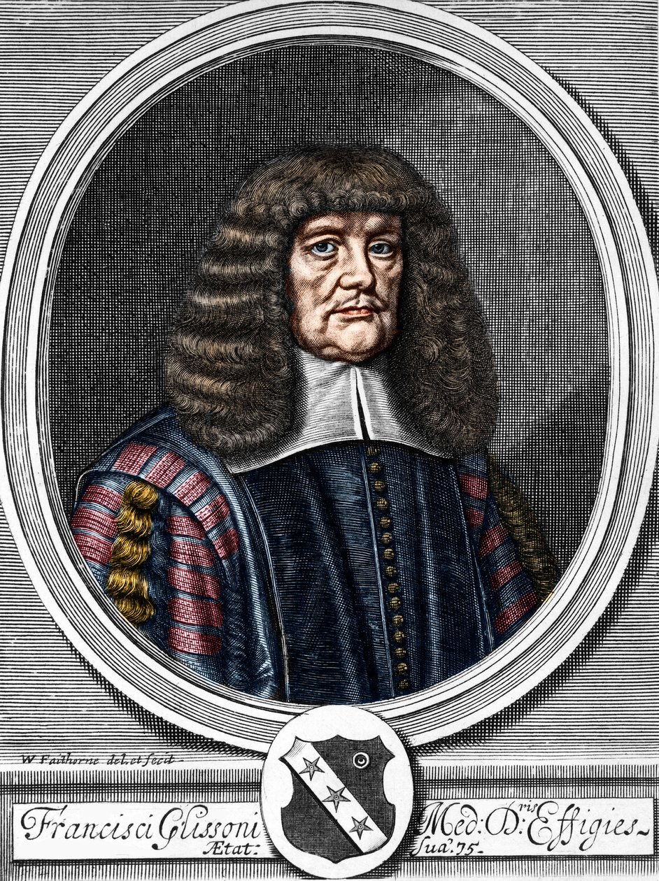 Portrett av Francis Glisson (1599-1677) britisk lege, anatom. av Anonymous Anonymous