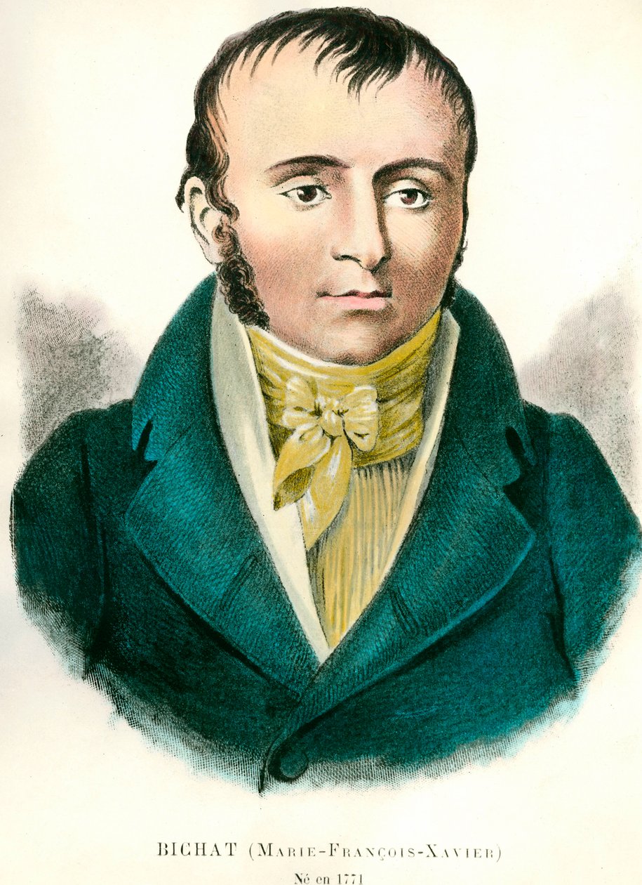 Portrett av Francois Xavier Bichat (1771-1802) fransk lege. Gravering av 1800-tallet. Privat samling av Anonymous Anonymous