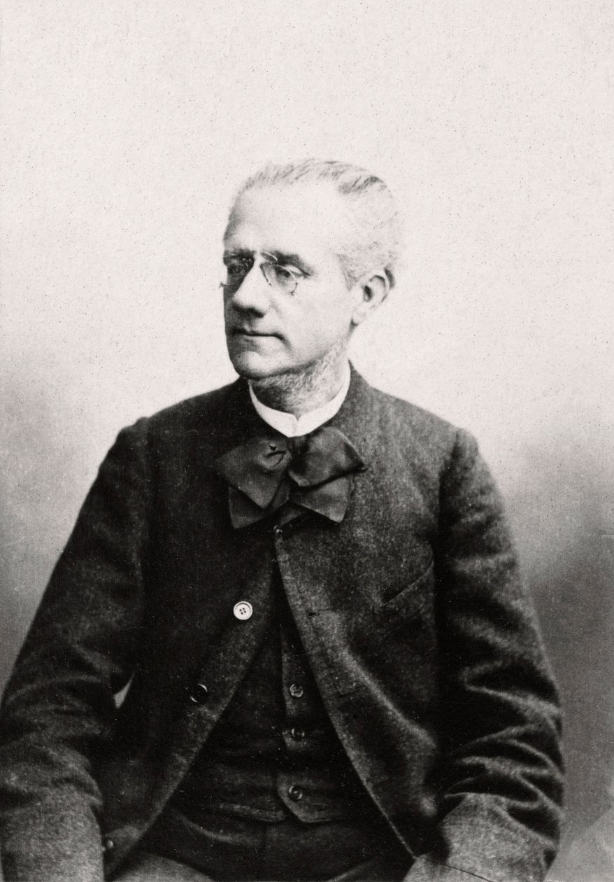 Portrett av Louis Eugene Pouillet (1835-1905) Advokat, privat samling av Anonymous Anonymous