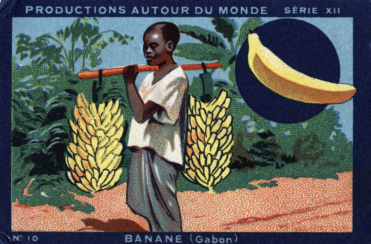 Produksjoner over hele verden: Banana i Gabon. Kromolitografi fra 1933 i "" Joseph-Milliat Album"" av Anonymous Anonymous