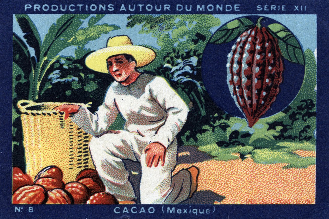 Produksjoner over hele verden: Kakao i Mexico. Kromolitografi fra 1933 i "" Joseph-Milliat Album"" av Anonymous Anonymous
