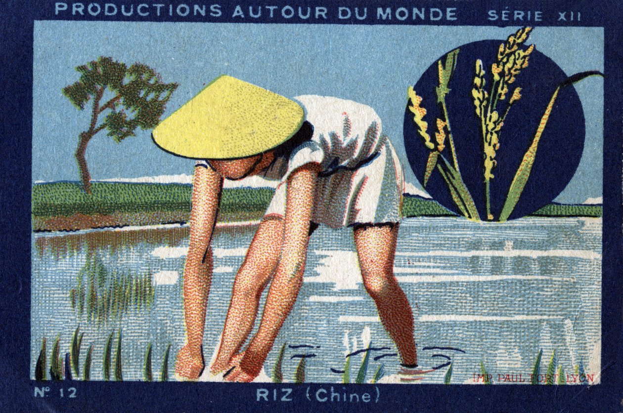 Produksjoner over hele verden: Ris i Kina. 1933 Chromolithography i "" Joseph-Milliat Album"" av Anonymous Anonymous