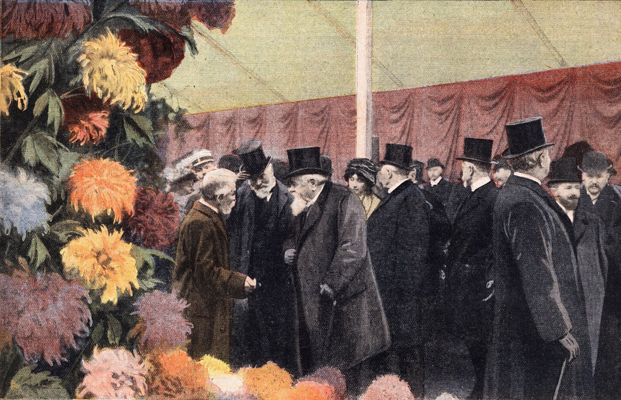 Krysantemfesten: offisiell krysantemutstilling. Gravering. En av avisen "" Le petit parisien"" den 20.11.1910. Privat samling. av Anonymous Anonymous