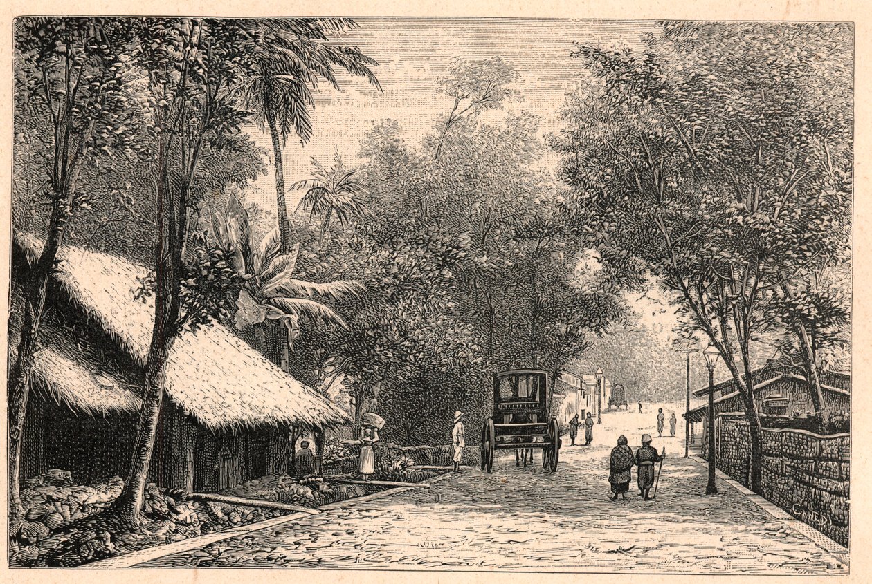 Utsikt over en gate fra Colombo i Ceylon (Sri Lanka). Gravering i "The Catholic Missions in the XIXth Century" av Louis-Eugene (Louis Eugene) Louvet. privat samling. av Anonymous Anonymous