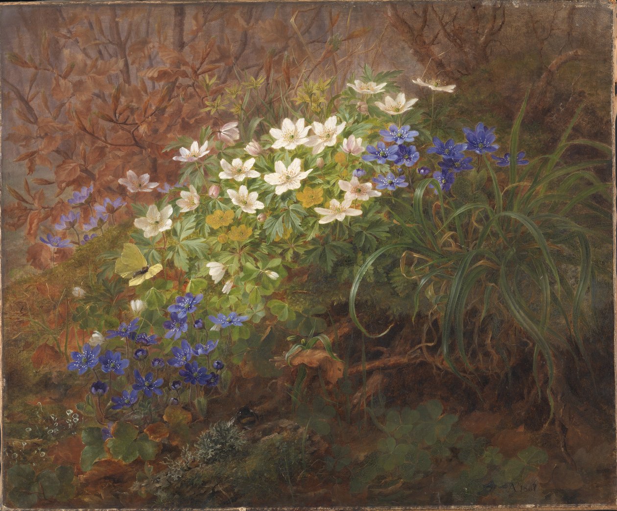 Anemoner av Anthonie Christensen