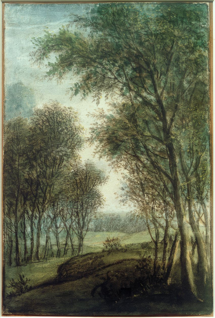Kanten av skogen av Anthonie Waterloo