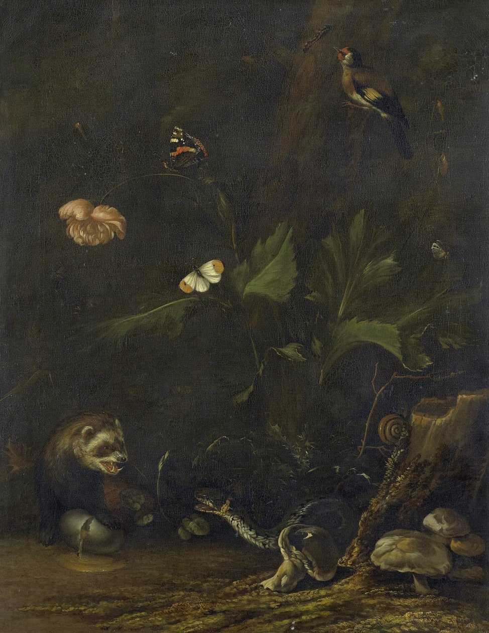 Dyr og planter av Anthonie van Borssom