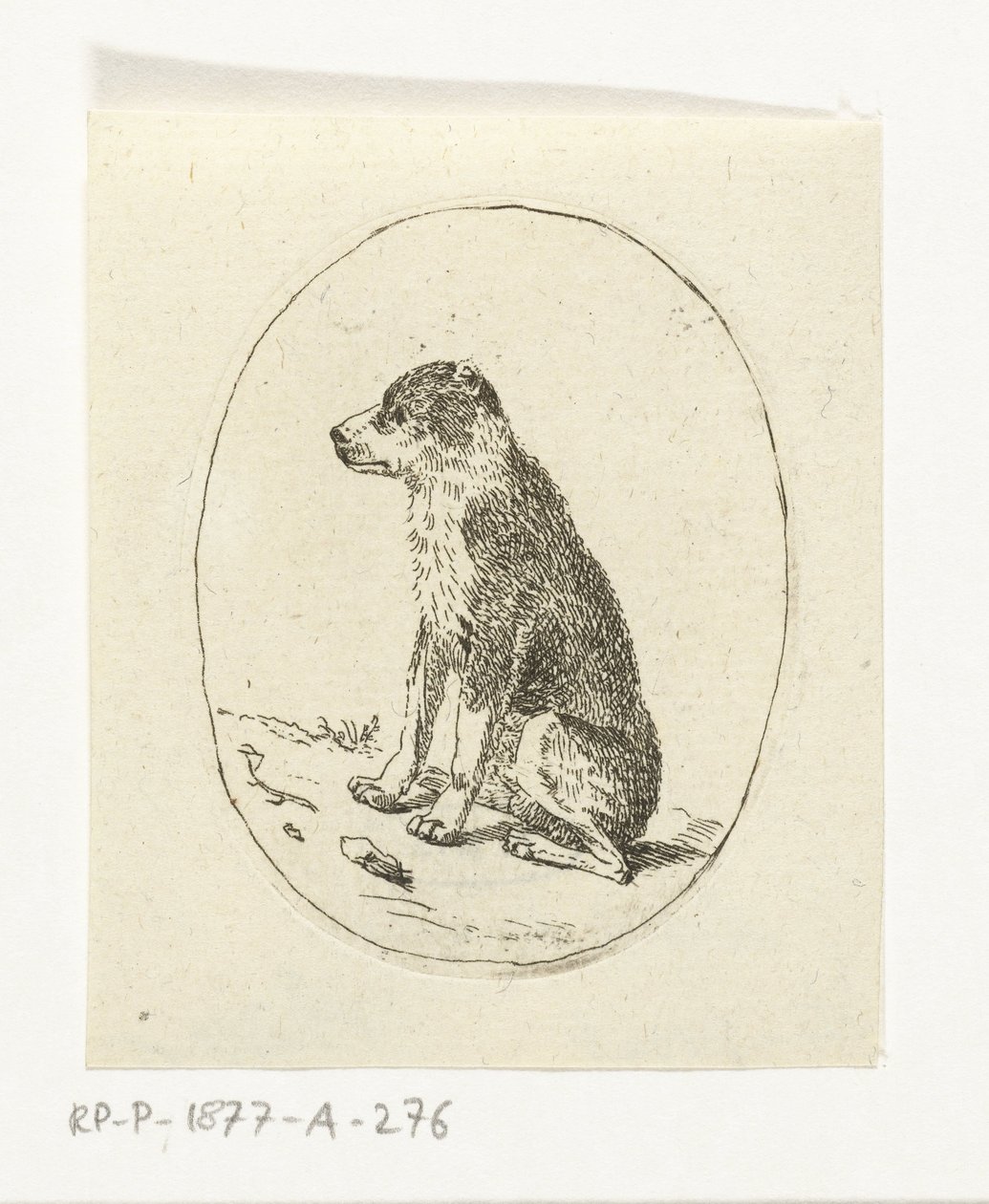 sittende hund av Anthonie van den Bos