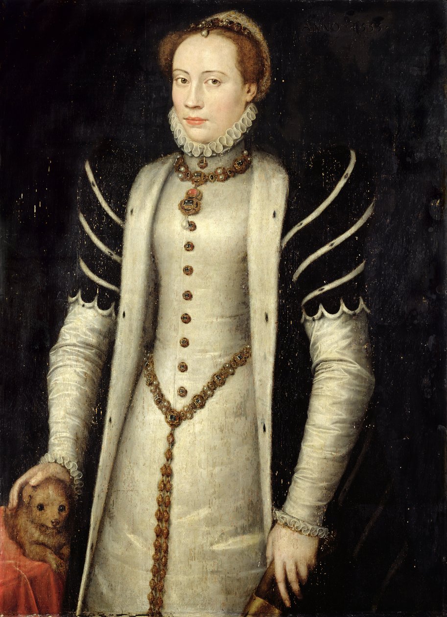 Portrett av en adelskvinne med en valp, 1555 (olje på eikepanel) av Anthonis Mor