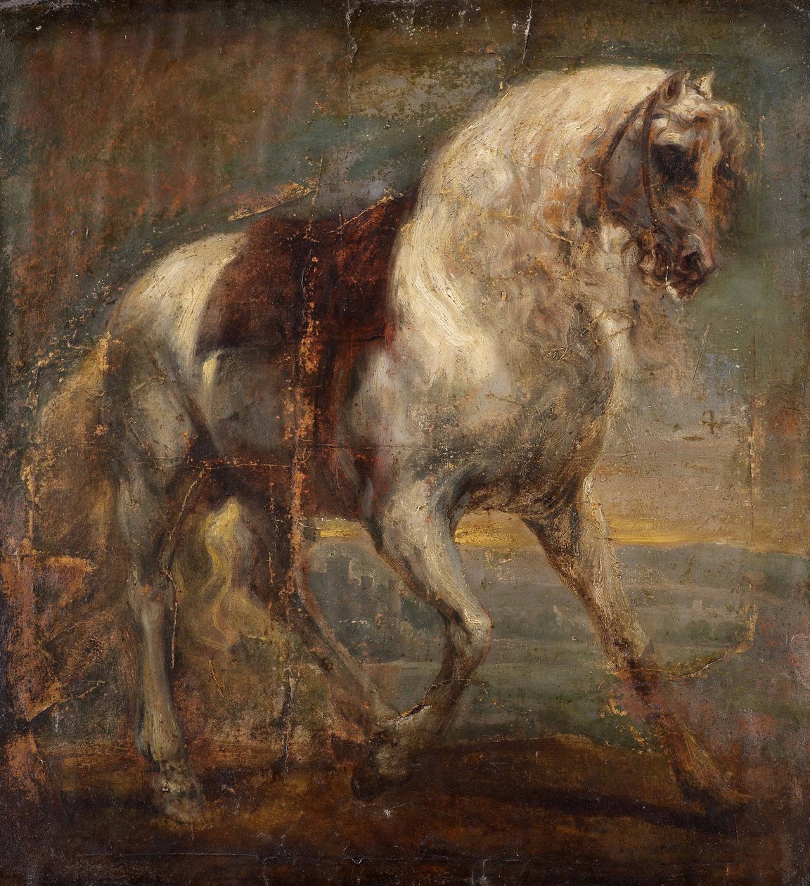 En grå hest av Anthony van Dyck