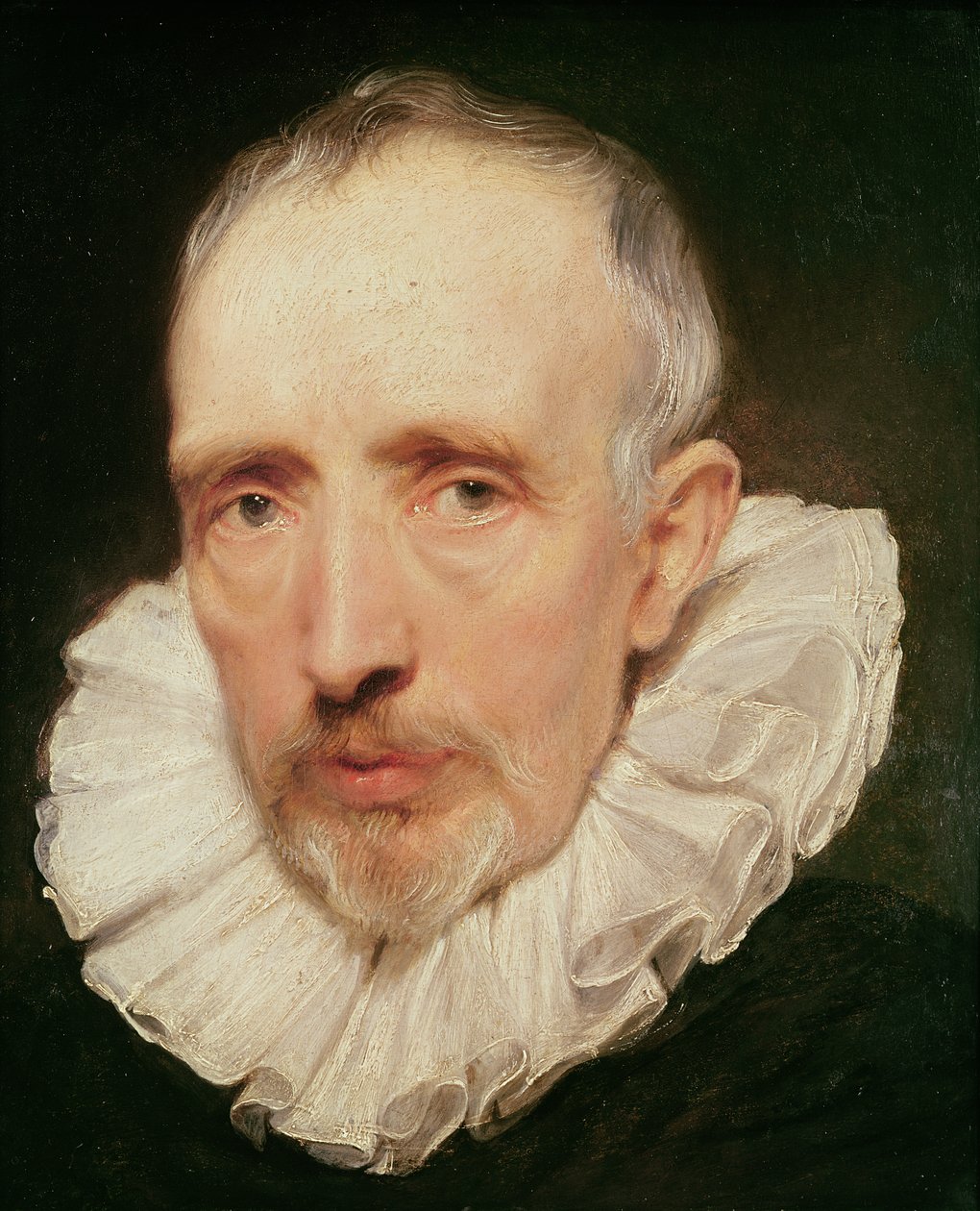 Portrett av Cornelis van der Geest, ca. 1620 (olje på eik) av Anthony van Dyck