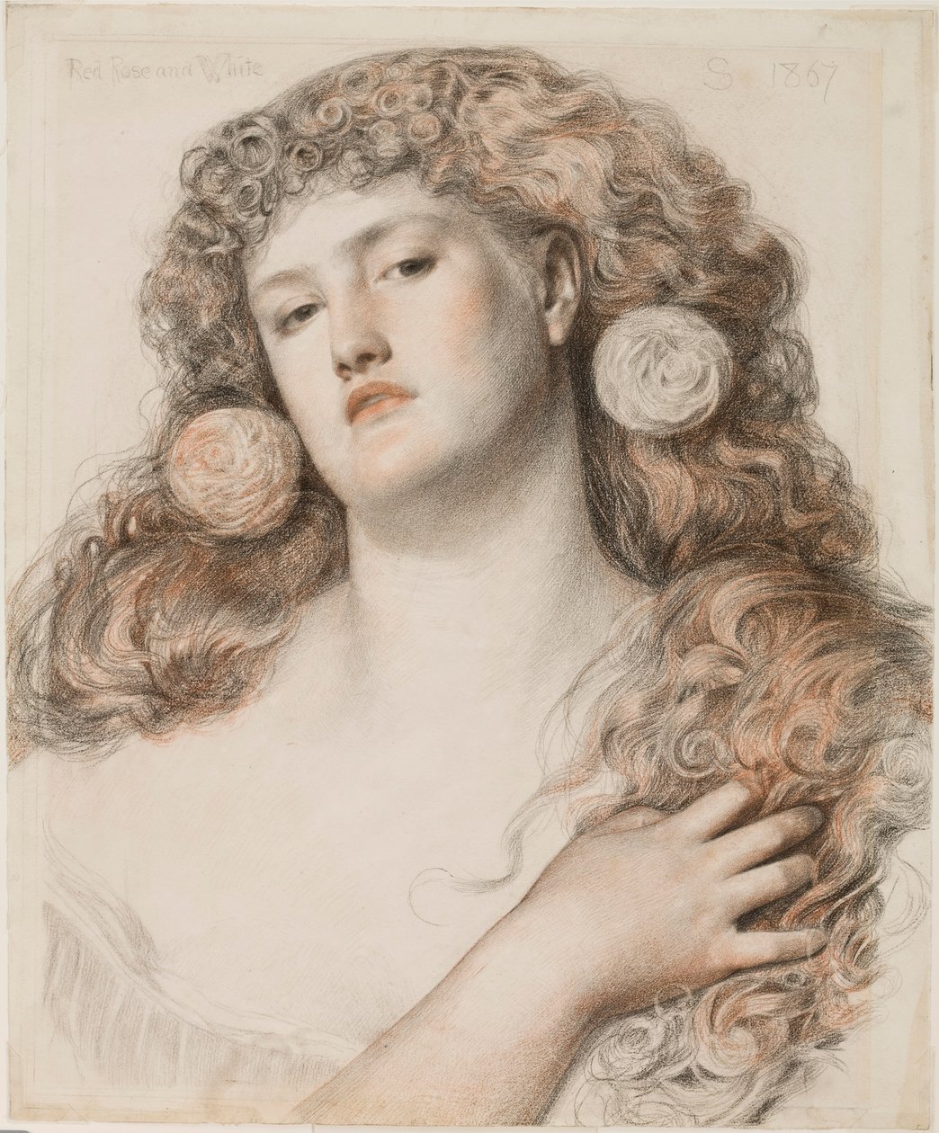 Rød rose og hvit, 1867 (kritt på papir) av Anthony Frederick Augustus Sandys