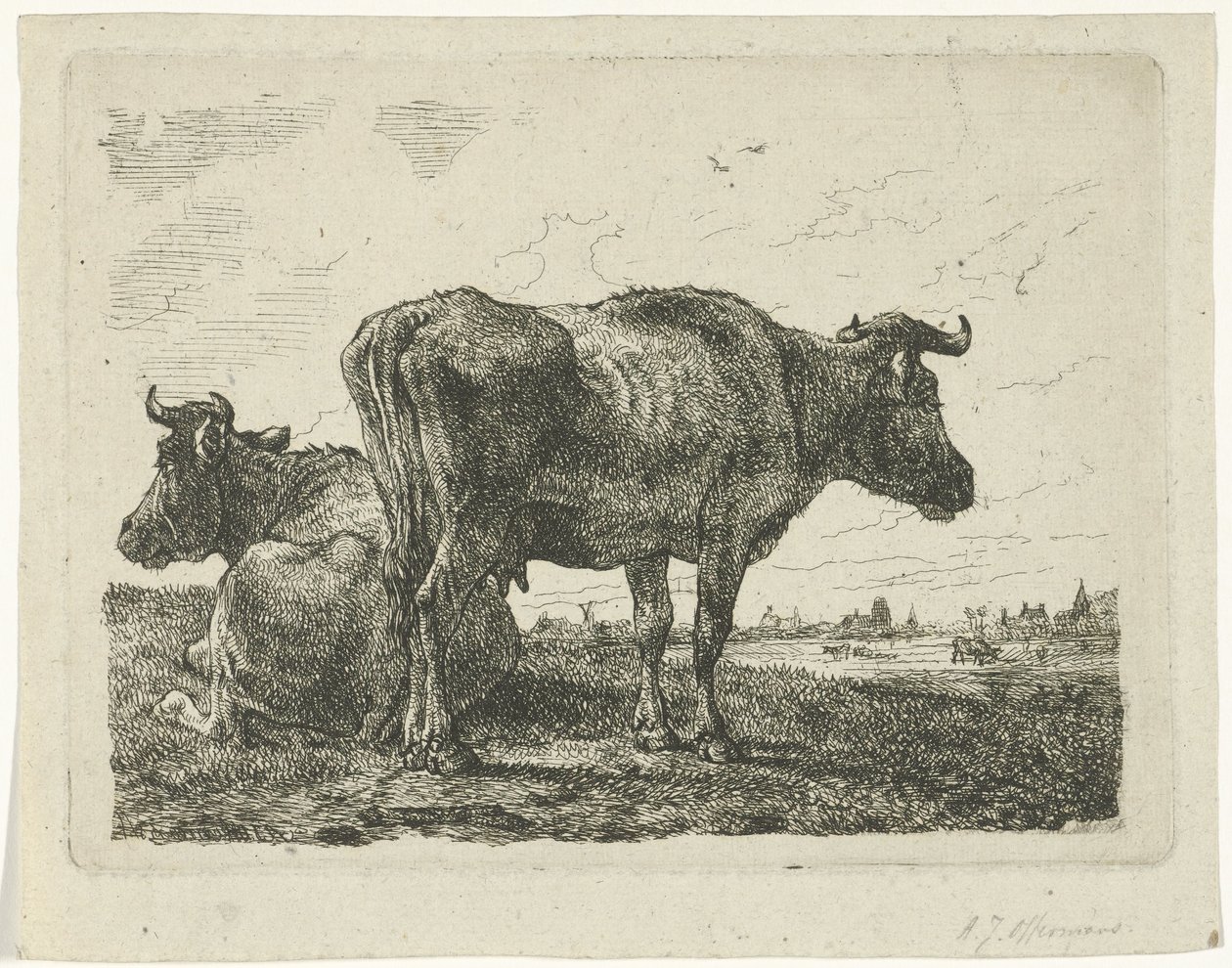 To kyr av Anthony Jacobus Offermans