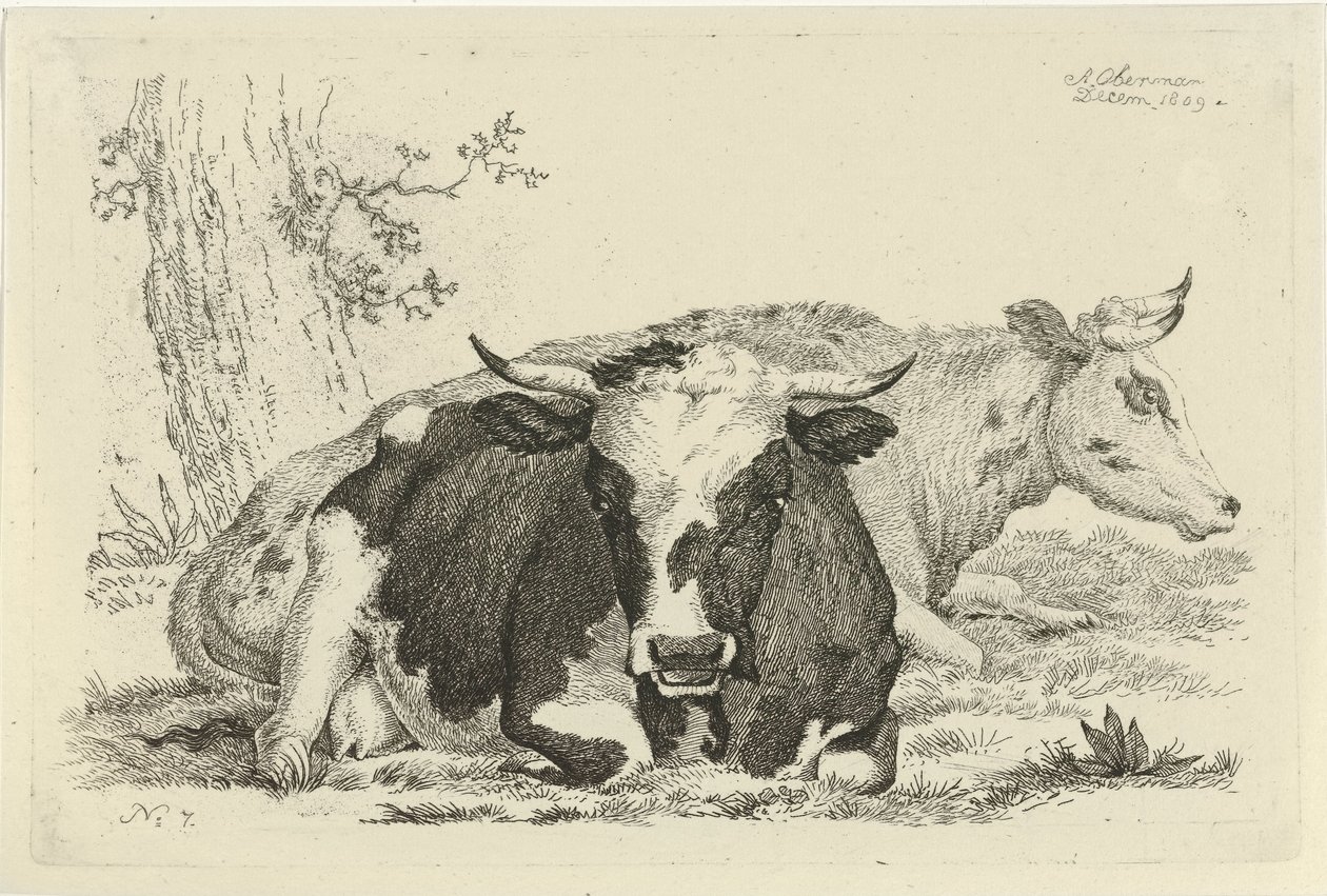 To kyr som ligger foran et tre Studier av kyr, sauer og geiter (serietittel) av Anthony Oberman